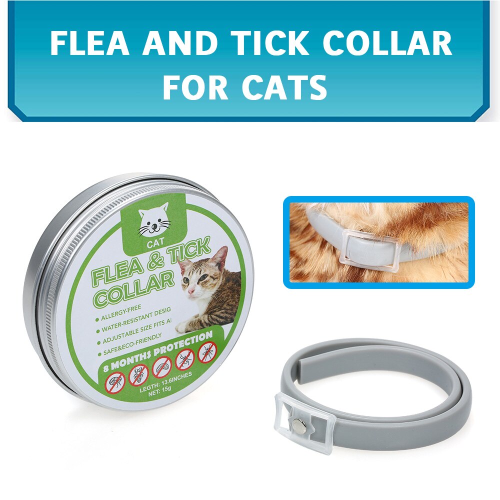 Cats Flea and Tick Treatment Prevention