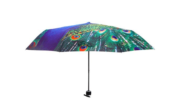 Peacock Sunny Umbrella